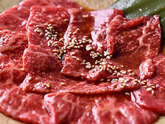 �ē����� �{�X�̎ʐ^1