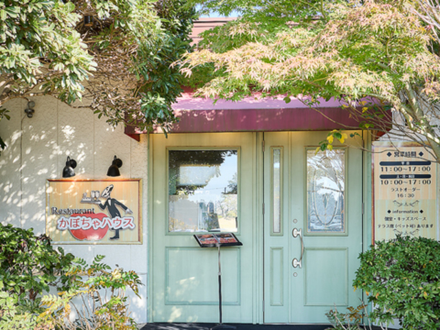 ���ڂ���n�E�X �Ό��X�̎ʐ^1