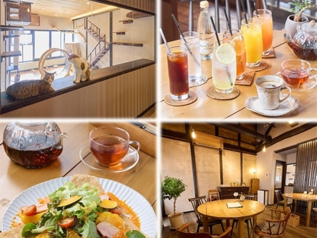 cafe �L�c���̎ʐ^1