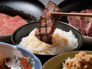 �ē��̂��� �V���w�O�X�̎ʐ^1