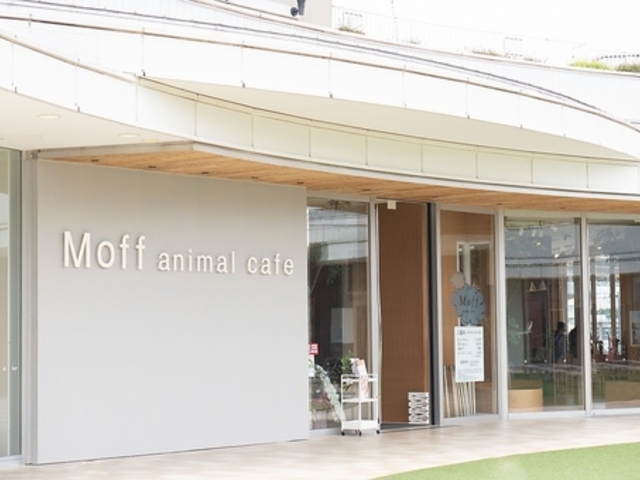 Moff animal cafe ���ہ[�Ɨ��엧��X�̎ʐ^1
