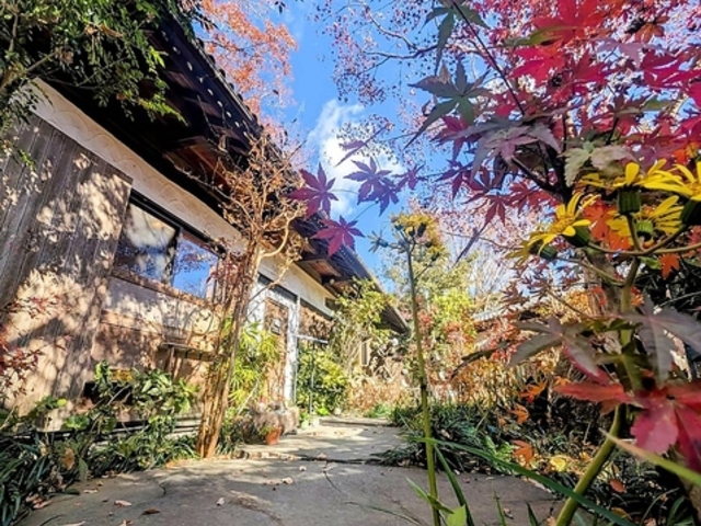 UEKIYACAFE272�̎ʐ^1