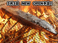 ���n �S�R�w�O�X�̎ʐ^1