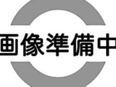 �`���� �r�{�X�̎ʐ^1