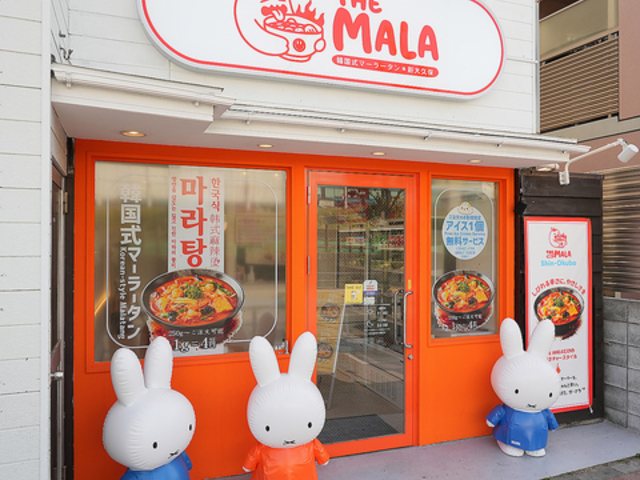 THE MALA �U�}�[���[ �V��v�ۂ̎ʐ^1