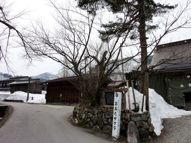 �������U�N��