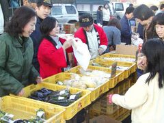 ����ԓ��̎s�̎ʐ^1