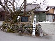 �������U�N���̎ʐ^2