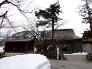 �������U�N���̎ʐ^3