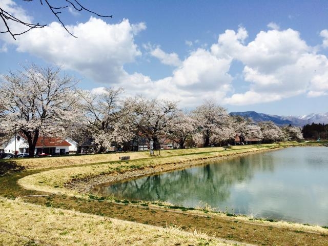 ���̉w �ӂꂠ���p�[�N�쑽�̋� ������̍�