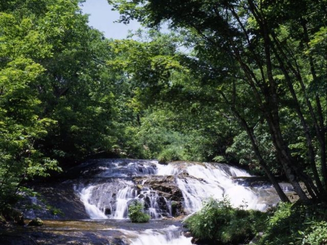 �����̑�̎ʐ^1