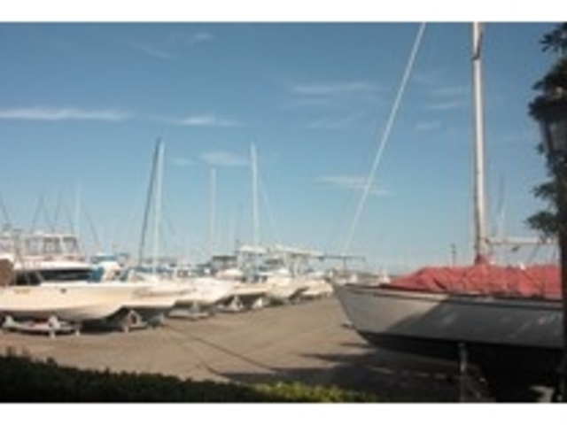 ���}���[�i