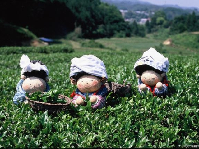 ���v�����̗������@�a���l�`���p�ف@�R������݊ق̎ʐ^1