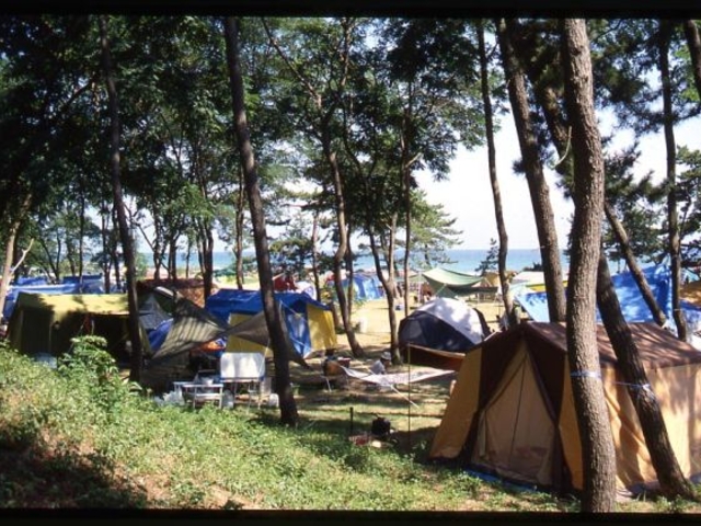 �������c��