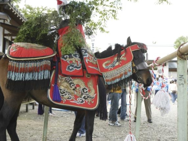 �}���_���{�̎ʐ^1