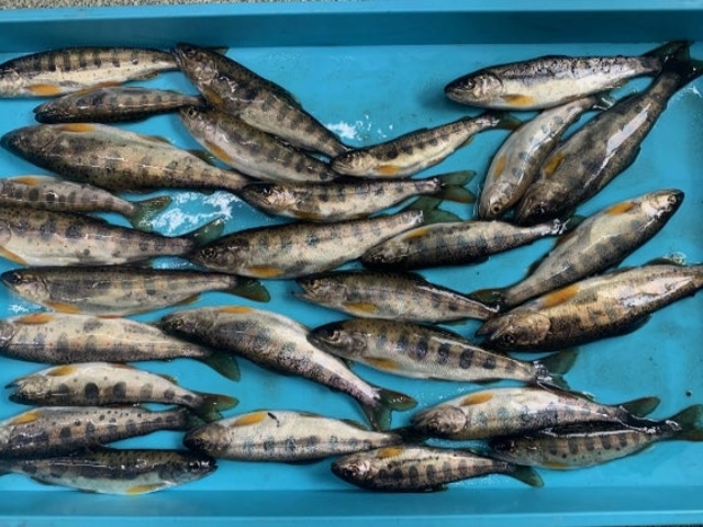 kނKېxiEmȂǁj̎ʐ^1