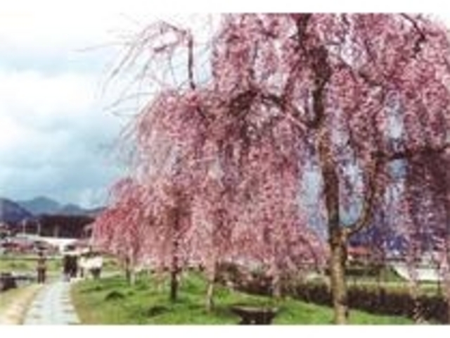 �璹��������