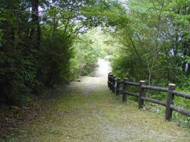 �����ΐ��V�{