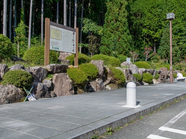 ������̐��E�V������̐�����