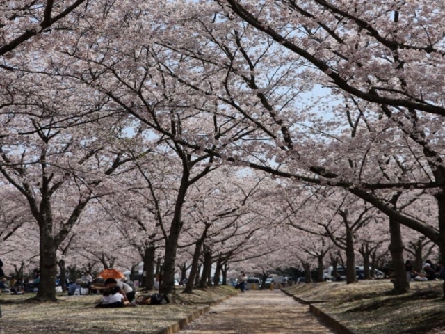 ������̐X�����ʐ^_������̐X����