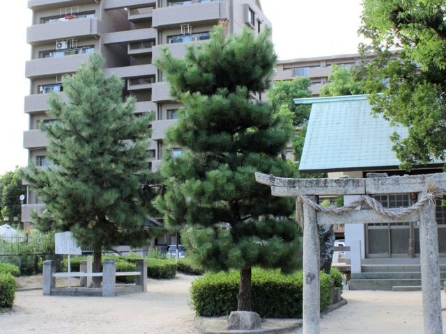 ���֐_�Ђ̎ʐ^1