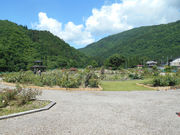 �������[�Y�K�[�f���̎ʐ^3