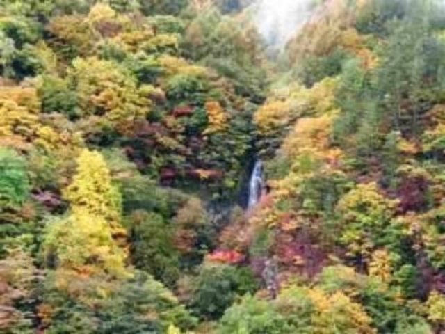 �V��̑�̍g�t�̎ʐ^1