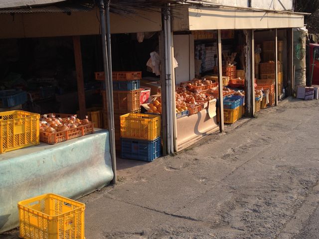 ��̑��q�ό��݂���