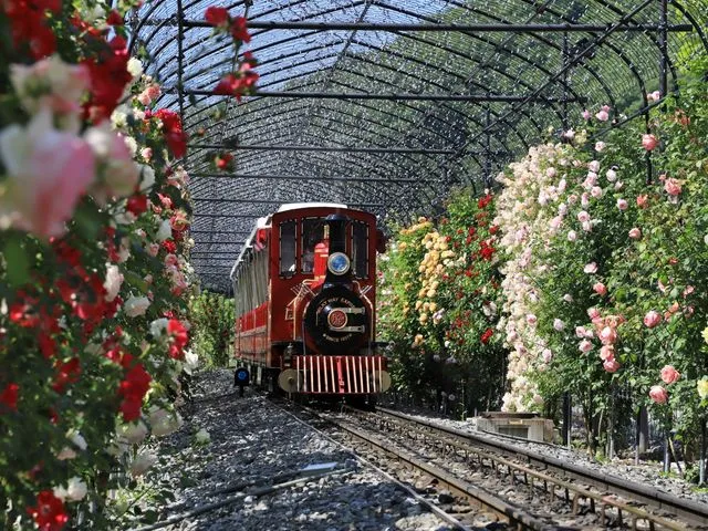 ローザン鉄道ミルキーウェイ