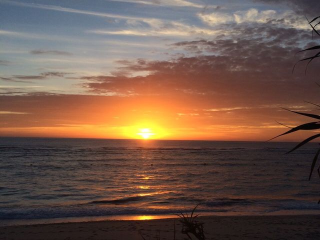 �����͖L���Ȏ��R�����͂ł��B_�����F�@�����ڂ�