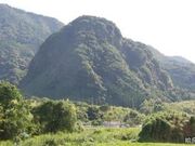 �⌕���(�s�w��j��)�̎ʐ^1