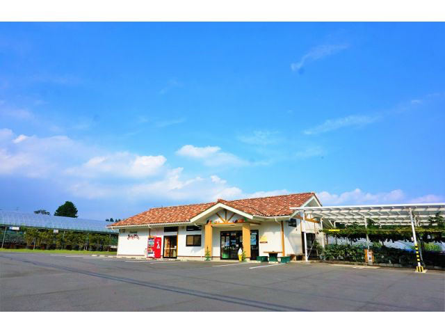 ���X�̊O��_�ό��_�����������낵