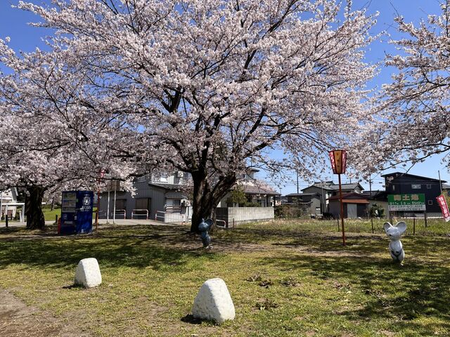 �^�͐�Βn�����΂Ȍ����̎ʐ^1