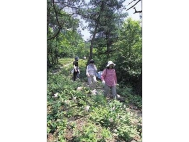 �q���T�����̏��a�̎ʐ^1