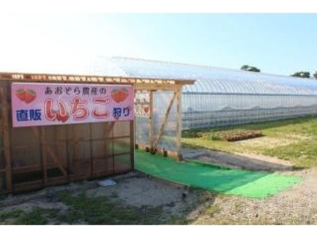 ��������_�Y���������̎ʐ^1