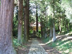 諏訪神社の大杉群の写真1