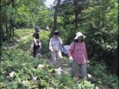 �q���T�����̏��a�̎ʐ^1