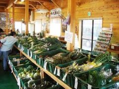 道の駅 朝日 みどりの里直売所の写真1