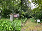 �Ȕ���Ղ̎ʐ^2