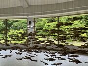 �m�X�̐X���������̎ʐ^1