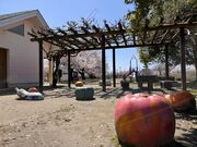 �^�͐�Βn�����΂Ȍ����̎ʐ^3