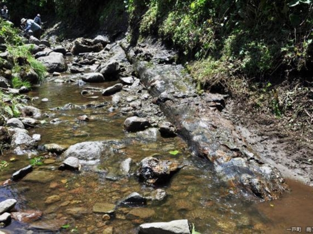 oсEJĚ]ؒnт̎ʐ^1