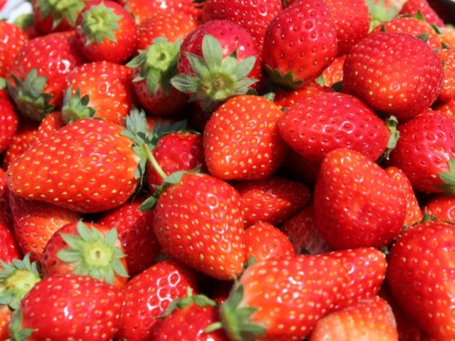 �����_���̎ʐ^1