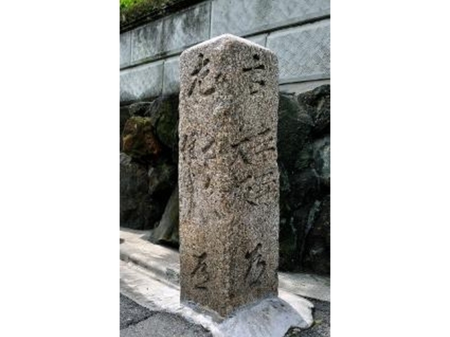 �Z�g�X���̎ʐ^1