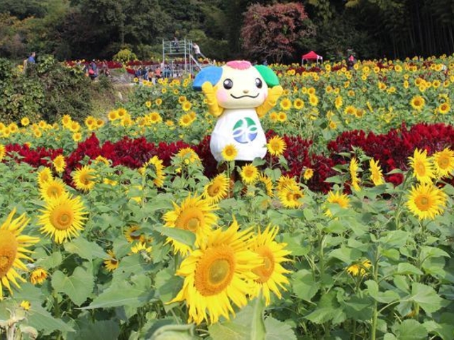 �݂₫���ό�����̎ʐ^1