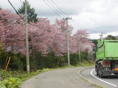 �㍻�쒬�̍��̎ʐ^1