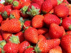 �����_���̎ʐ^1