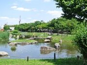 ���r���݂炢�Z���^�[�̎ʐ^3