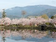 ��ʎВc�@�l�@����s�ό�����@����ό��ē����̎ʐ^1