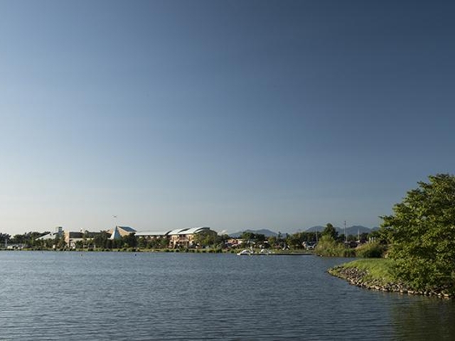 ���̂΂̎ʐ^1